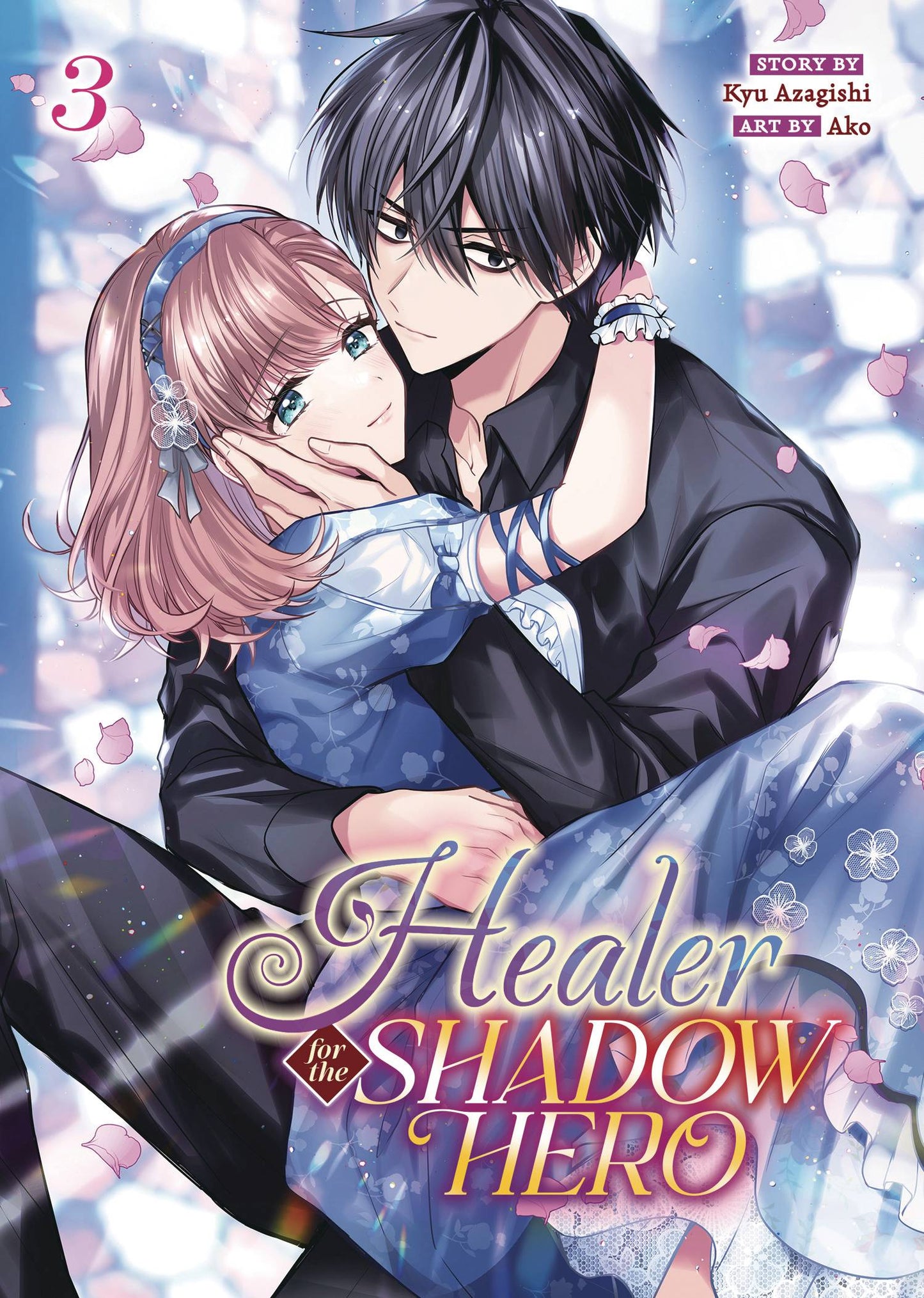 HEALER FOR SHADOW HERO GN VOL 03 (RES) (MR) (C: 0-1-1)