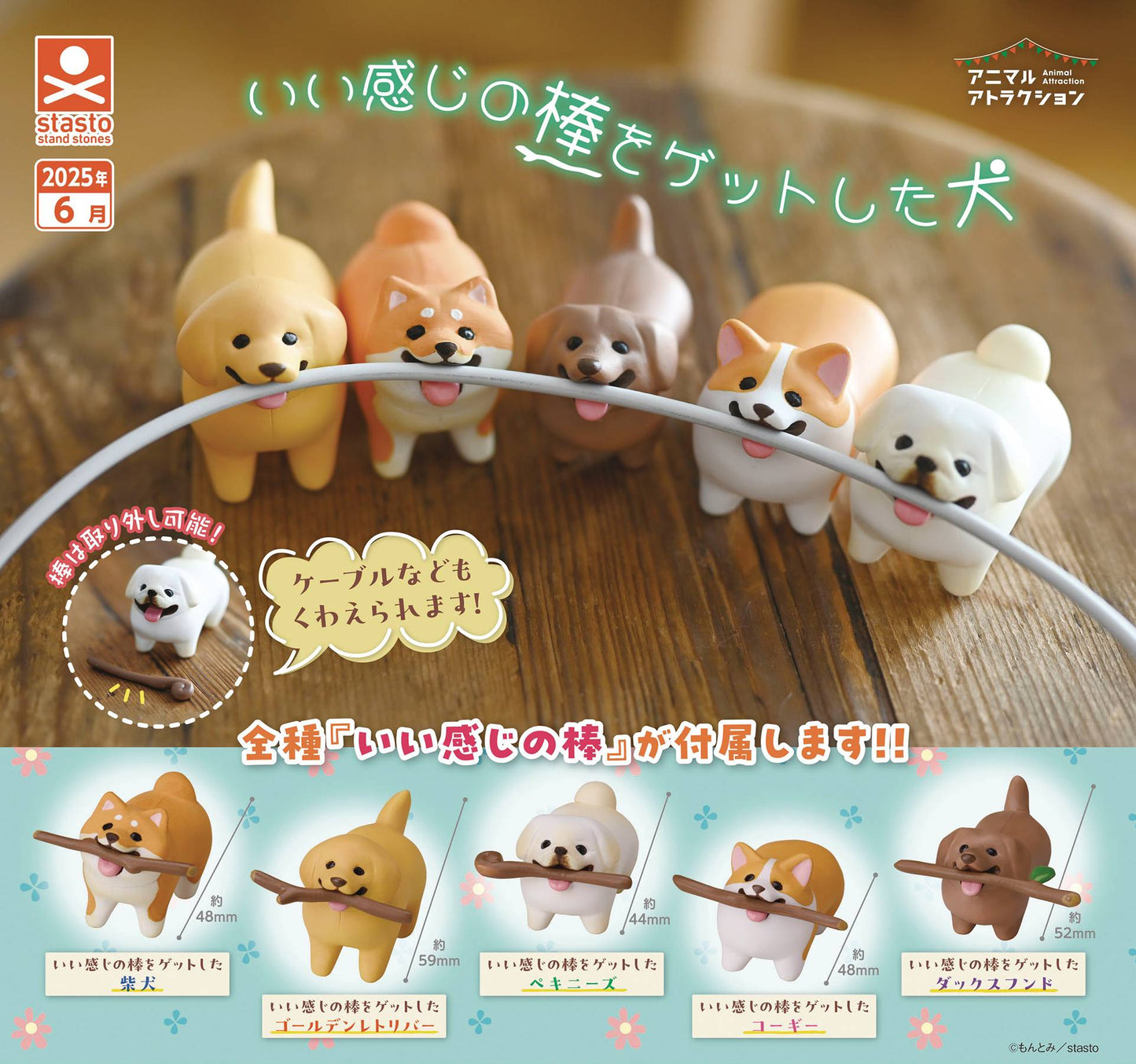 DOGS WITH STICKS 40PC CAPSULE ASST (NET) (C: 1-0-1)
