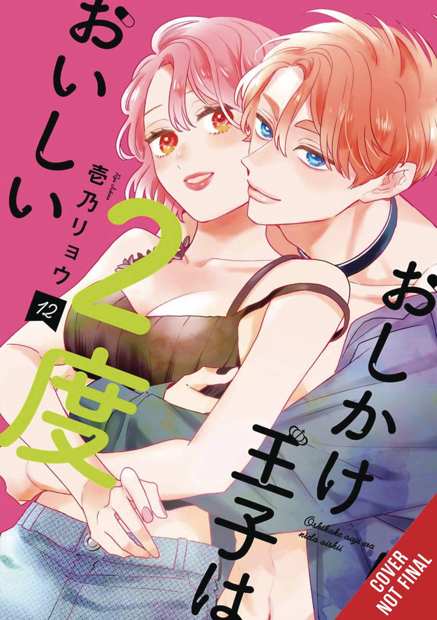 DOUBLE THE TROUBLE TWICE AS NICE GN VOL 02 (C: 0-1-2)