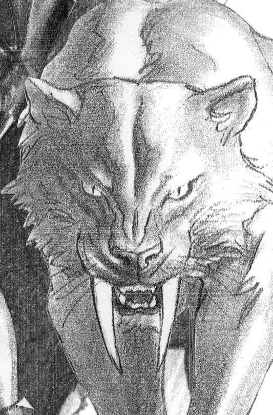 BLACK CAT #2 ALEX ROSS TIMELESS VIRGIN SKETCH VARIANT