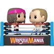 WWE Bret Hart and Shawn Michaels Pop! Vinyl Moment