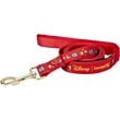 Winnie the Pooh Pet Leash