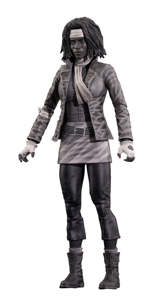 WALKING DEAD COMIC SERIES 1 AF ASST (O/A) (C: 1-1-2)