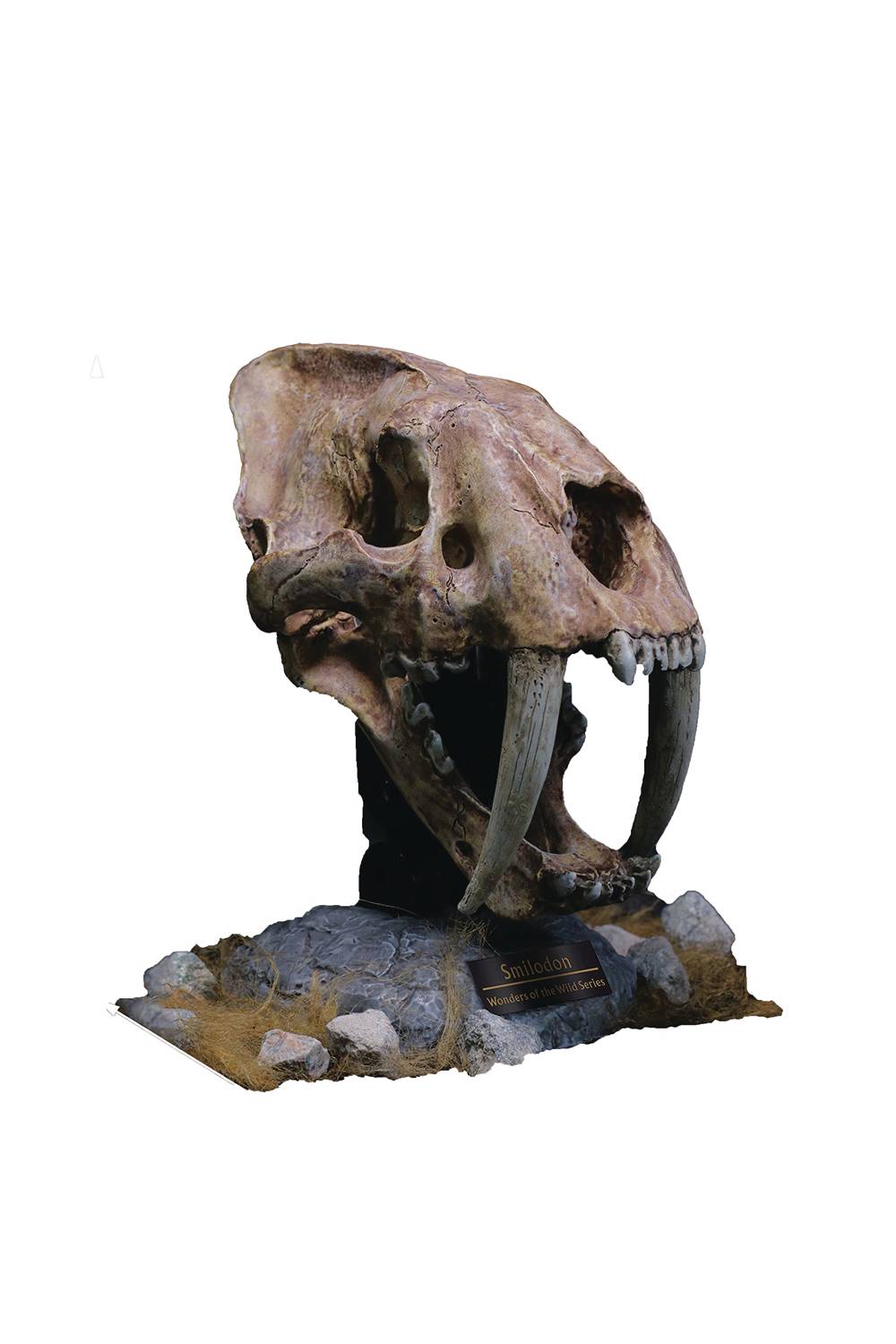 WONDERS OF THE WILD SMILODON SKULL FOSSIL POLYRESIN STATUE (