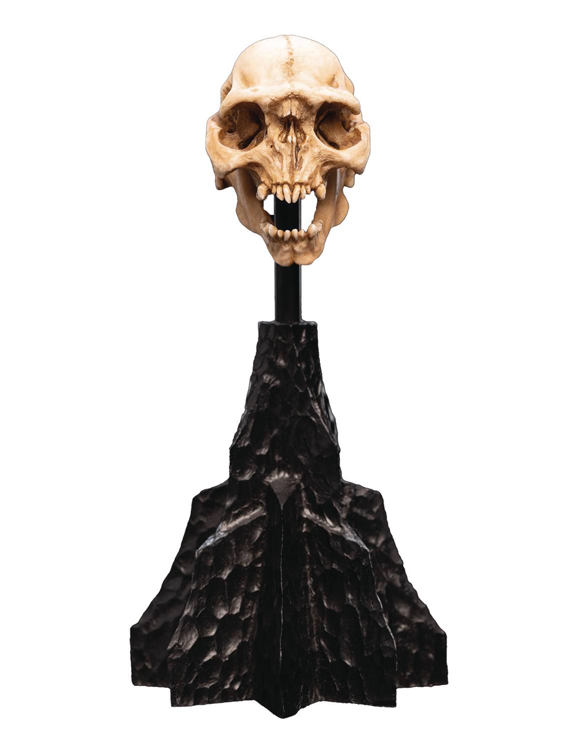 LOTR SKULL OF A MORIA ORC STATUE (NET) (C: 1-1-2)