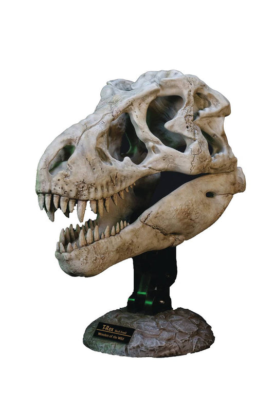 WONDERS OF THE WILD TYRANNOSAURUS REX SKULL FOSSIL STATUE (N