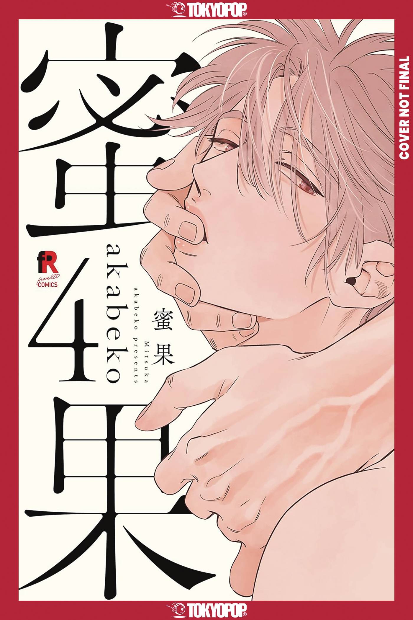 MITSUKA GN VOL 04 (MR) (C: 0-1-2)