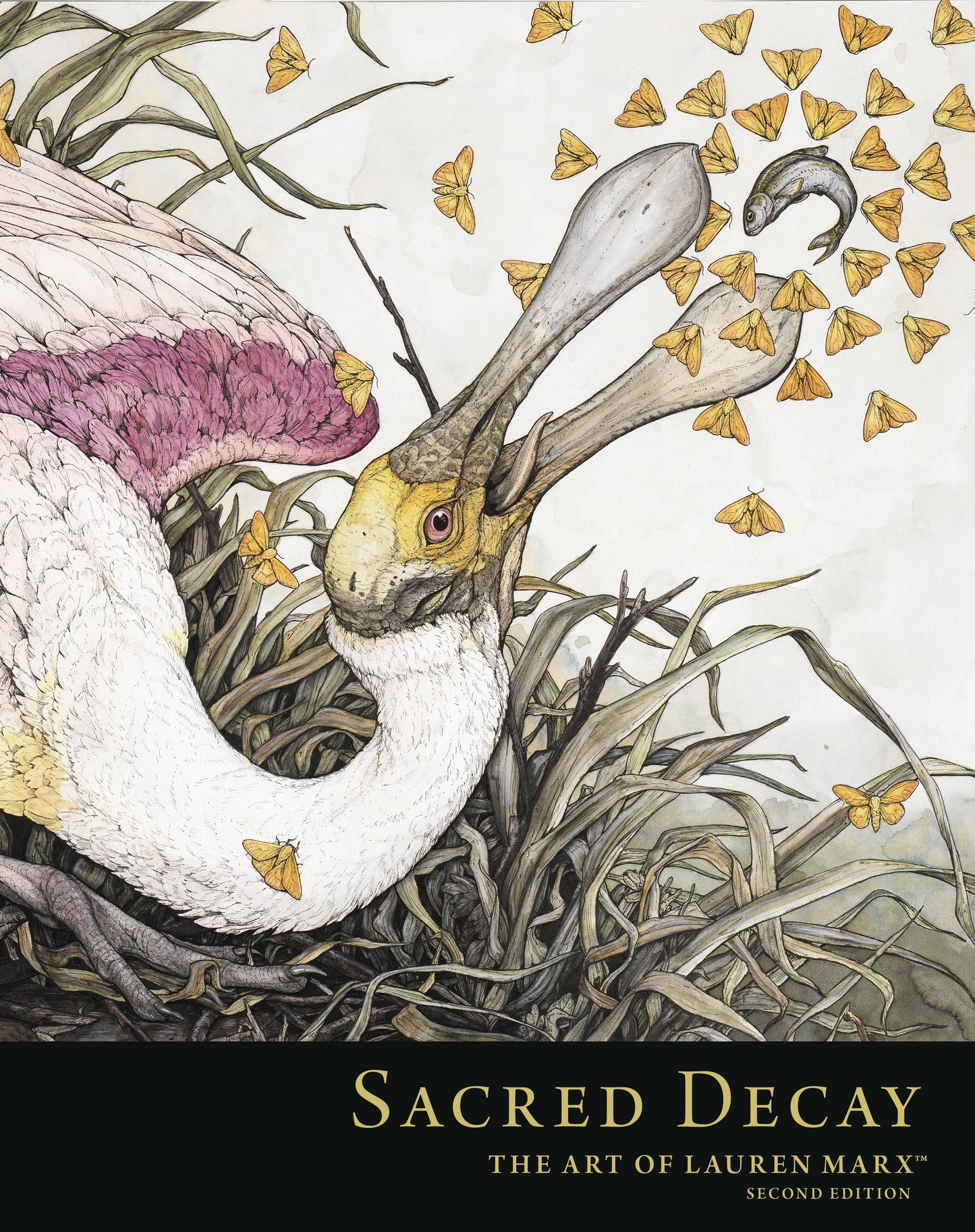 SACRED DECAY ART OF LAUREN MARX HC (C: 0-1-2)