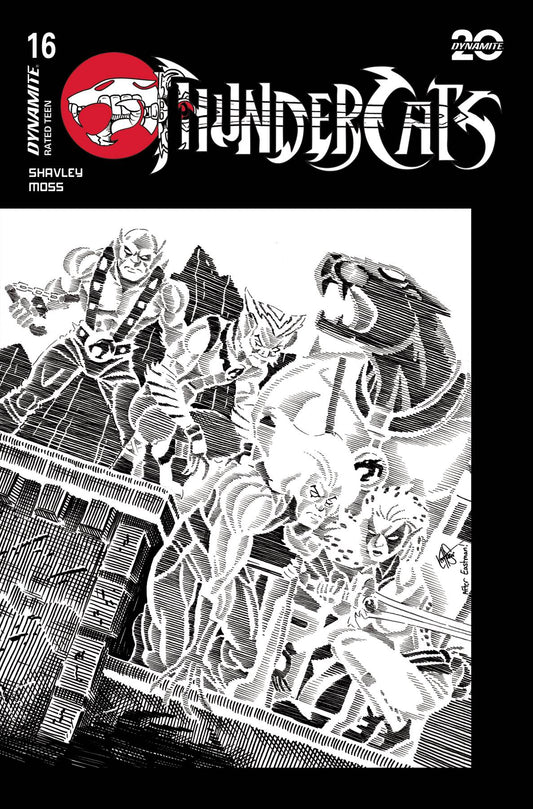 THUNDERCATS #16 CVR T 20 COPY INCV TMNT HOMAGE HAESER LINE A