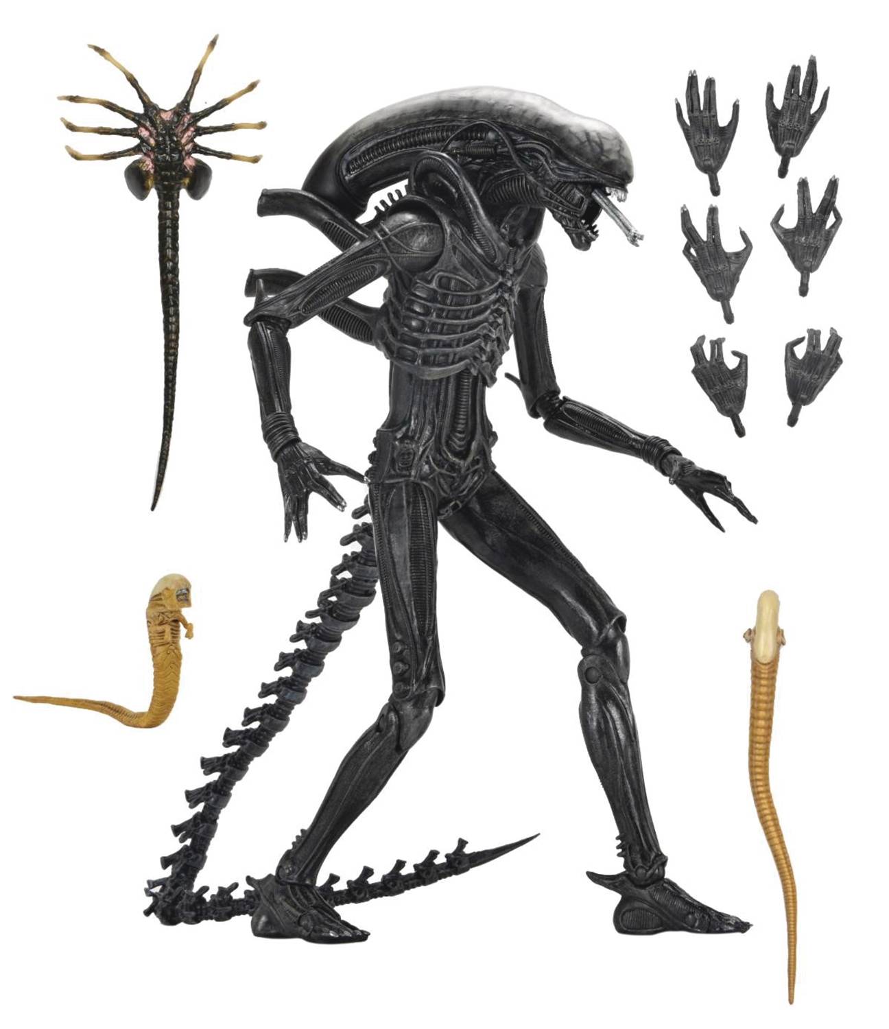 ALIEN ROMULUS ULT XENOMORPH XX121 7IN AF (NET) (C: 1-1-2)
