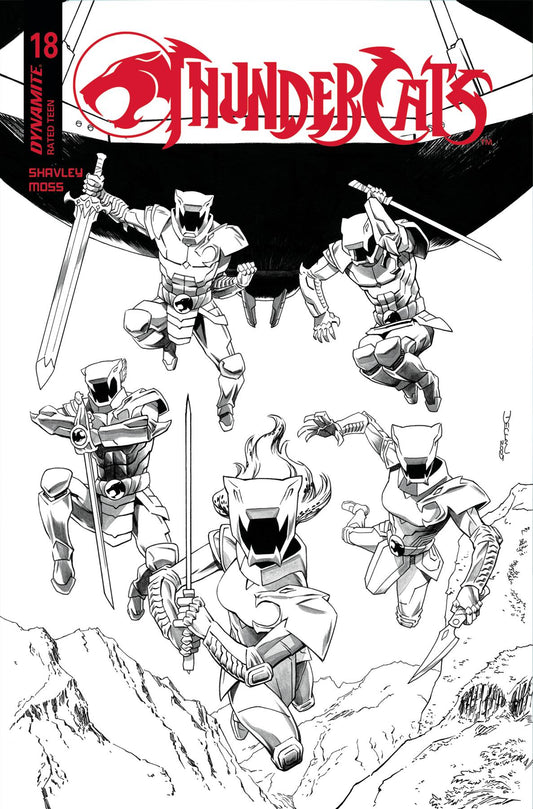THUNDERCATS #18 CVR N 10 COPY INCV SHALVEY LINE ART (C: 1-0-