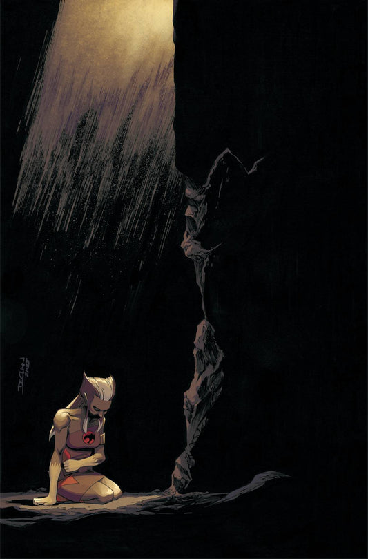 THUNDERCATS LOST #5 CVR G SHALVEY LTD VIRGIN (C: 1-1-2)