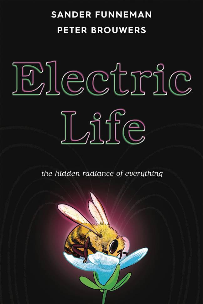 ELECTRIC LIFE HC (C: 0-1-2)