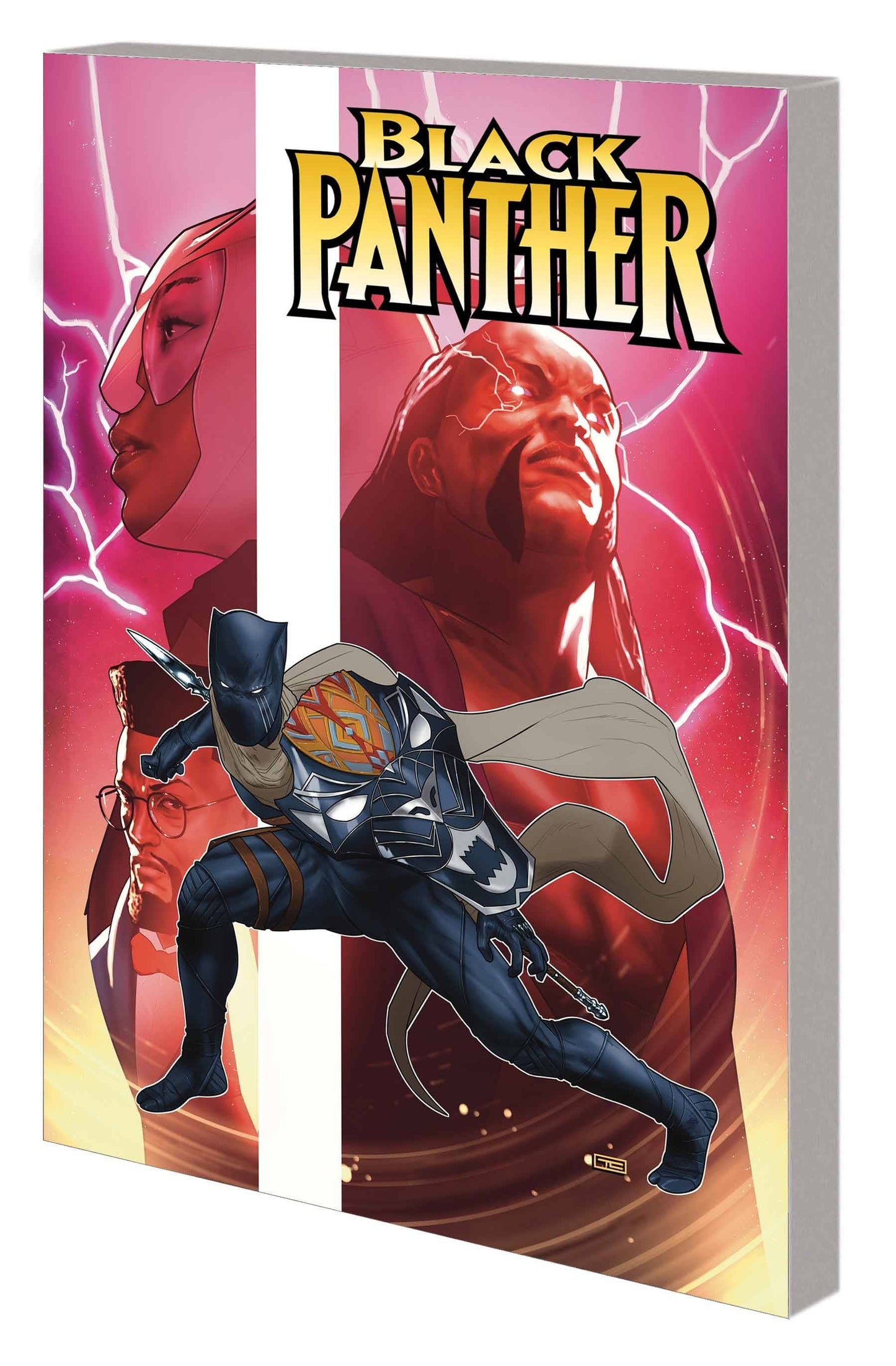 BLACK PANTHER BY EWING TP VOL 02 REIGN AT DUSK